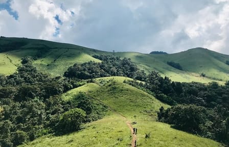 6-Day Cultural and Hiking Tour of Bhutan's Paro and Punakha