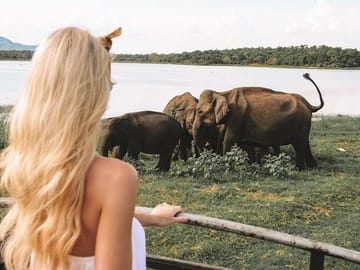 4 Days Essence Of Sri Lanka