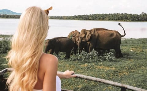 4 Days Essence Of Sri Lanka
