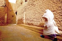 "Figuig The Lost Oasis | Private & Luxury 2