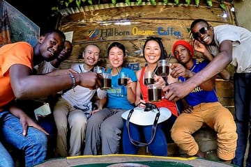 Cultural Day Tour in Moshi: Materuni Waterfall and Coffee Experience
