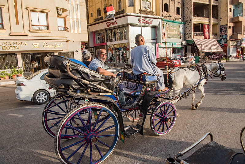 City Tour by Horse Carriage – Hantour