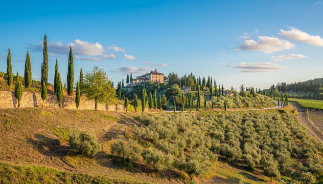 Golf Cart Tour: Express Highlights of Florence 7
