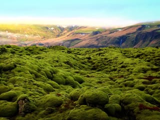 5-Day Small Group Journey Around Iceland, photo 24