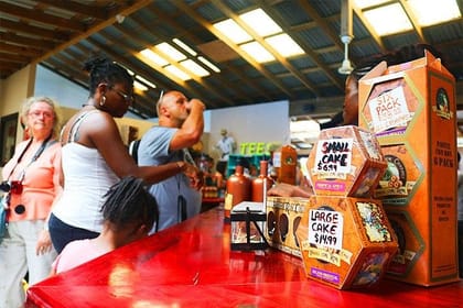 Roatan AJ’s Sloths, Monkeys Eco Encounter, City Tour, Beach Break & Transfer