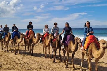 Casablanca to Tangier Day Trip with Cap Spartel and Medina Tour