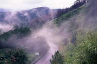 Doi Tung & Royal Villa Guided Cultural Tour 2
