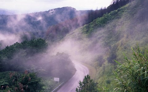 Doi Tung Guided Tour with Mae Fah Luang Gardens