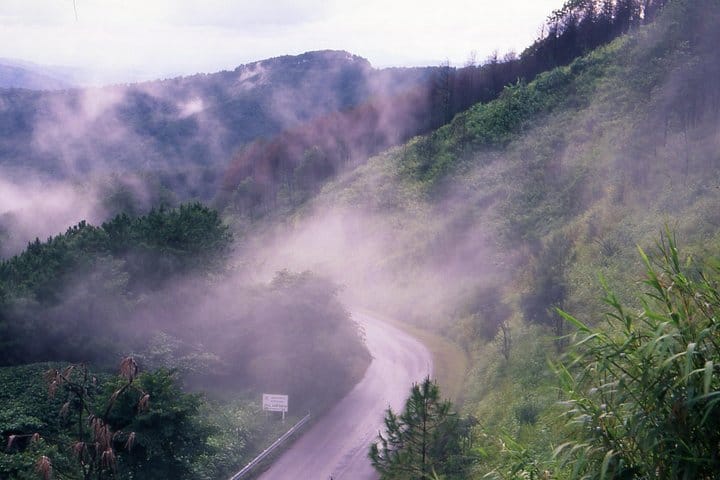 Doi Tung & Royal Villa Guided Cultural Tour 2