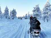 Snowmobile Safari and Reindeer Experience 1