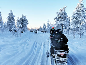 Snowmobile Safari and Reindeer Experience