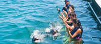 Dolphin Explorer - Funtastic  3
