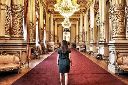 Buenos Aires Walking Tour: Explore San Telmo, Puerto Madero & Top Attractions