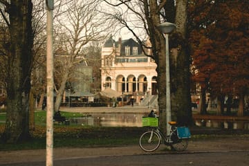 Private Photography Walking Tour in Amsterdam's Vondelpark