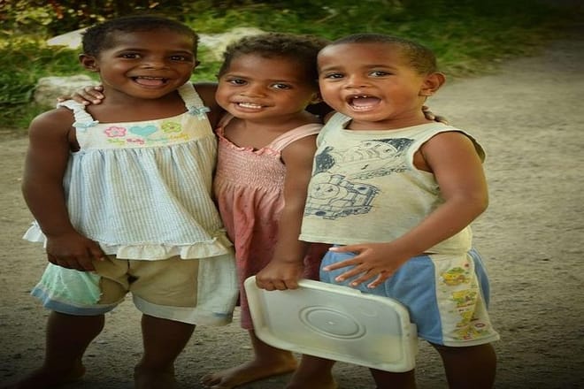 Half Day Tour from Nadi includes Local Markets, Orchid Gardens and Local Village photo 3