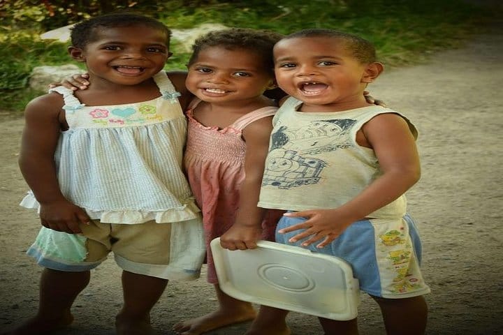 Half Day Tour from Nadi includes Local Markets, Orchid Gardens and Local Village 3