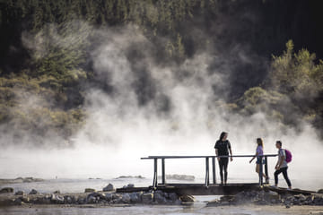 One-Way Tour from Auckland to Rotorua with Scenic Stops