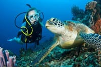 Bodrum Scuba Diving Experince with Lunch and Roundtrip Transfer 6