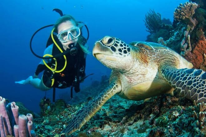 Bodrum Scuba Diving Experince with Lunch and Roundtrip Transfer 6