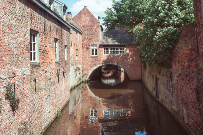 Den Bosch in 1 Day - Walking Tour - Audioguide in 7 languages photo 4