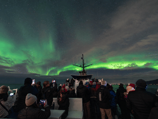 Guests gathered on deck beneath vivid green Northern Lights during an aurora cruise from Reykjavík.
