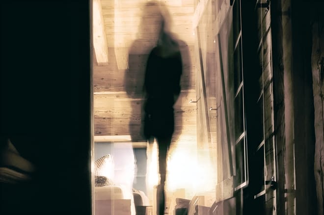 Chicago Mobsters Gangsters Ghosts and Prohibition Tour