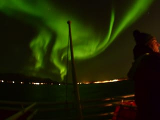 Reykjavík Whales & Northern Lights, photo 21