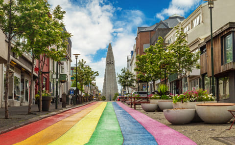 Private 3-Hour Driving Tour of Reykjavik's Highlights