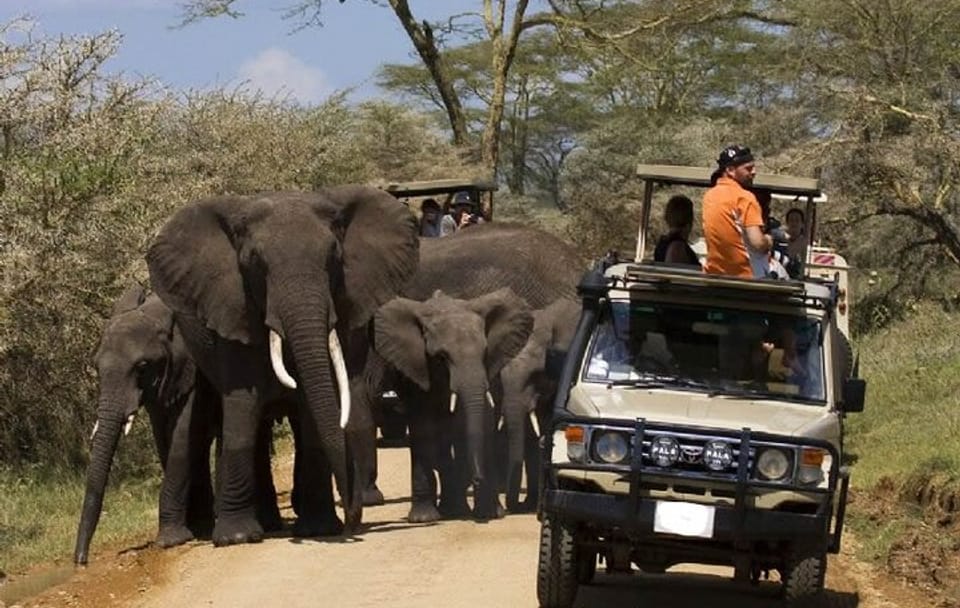 7-Day Tour Tsavo West Amboseli Lake Nakuru and Masai Mara