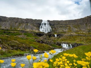9 Day - Around Iceland & Wild Westfjords, photo 35