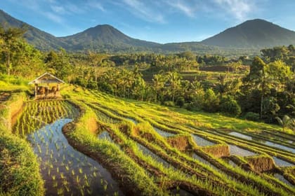 Bali: UNESCO World Heritage Sites