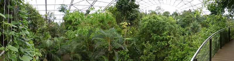 Zurich for families: the zoo and the Masoala rainforest