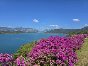 Legends of the Water & Forests: A 3-Day Eco Adventure to Khao Sok, Cheow Lan Lake & James Bond Islands