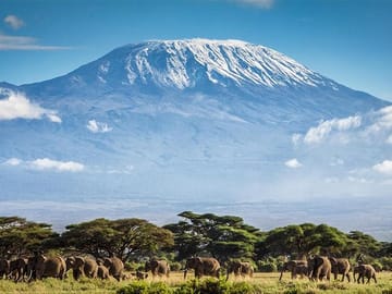 Climbing Mt.Kilimanjaro