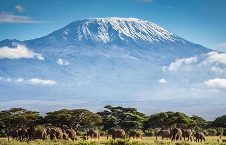 Climbing Mount Kilimanjaro : Machame Route
