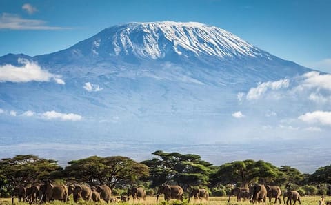 Climb Mount Kilimanjaro via the Machame Route in Tanzania