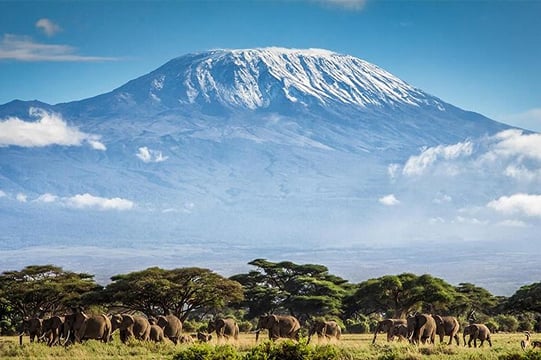 Climbing Mount Kilimanjaro : Machame Route
