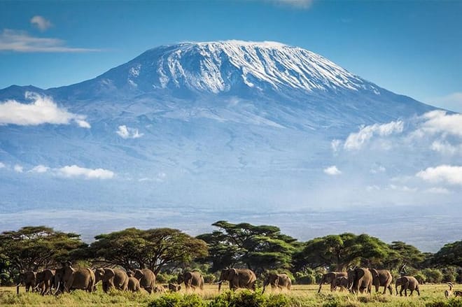 Climbing Mt.Kilimanjaro