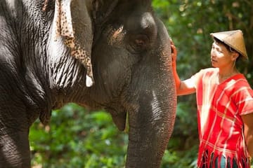 Phuket: Khaolak Hightlight Tour with Eco Guide Adventure