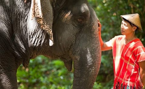 Phuket: Khaolak Hightlight Tour with Eco Guide Adventure