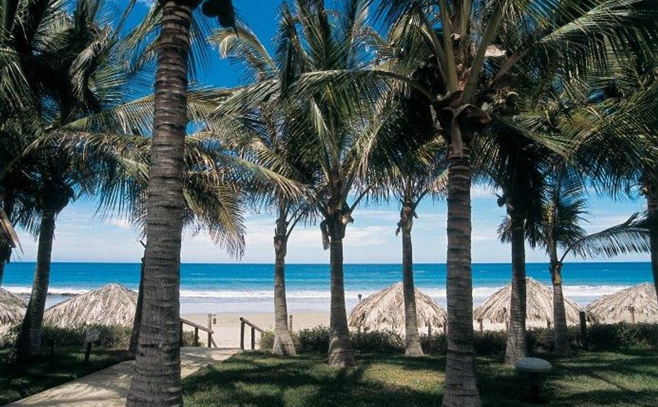 4-Day Nature Tour to Mancora from Piura, Peru