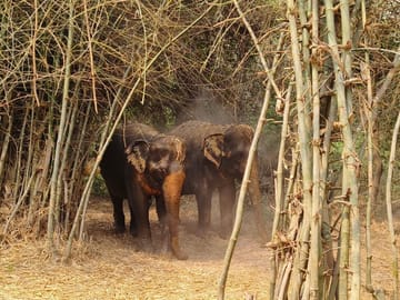 Prek Toal Birds Sanctuary & floating Village Private Tours from Siem Reap