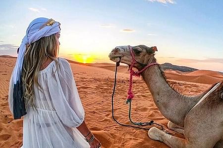 Best 3-Day Marrakech to Merzouga Desert Tour – Camel Trek & Camp
