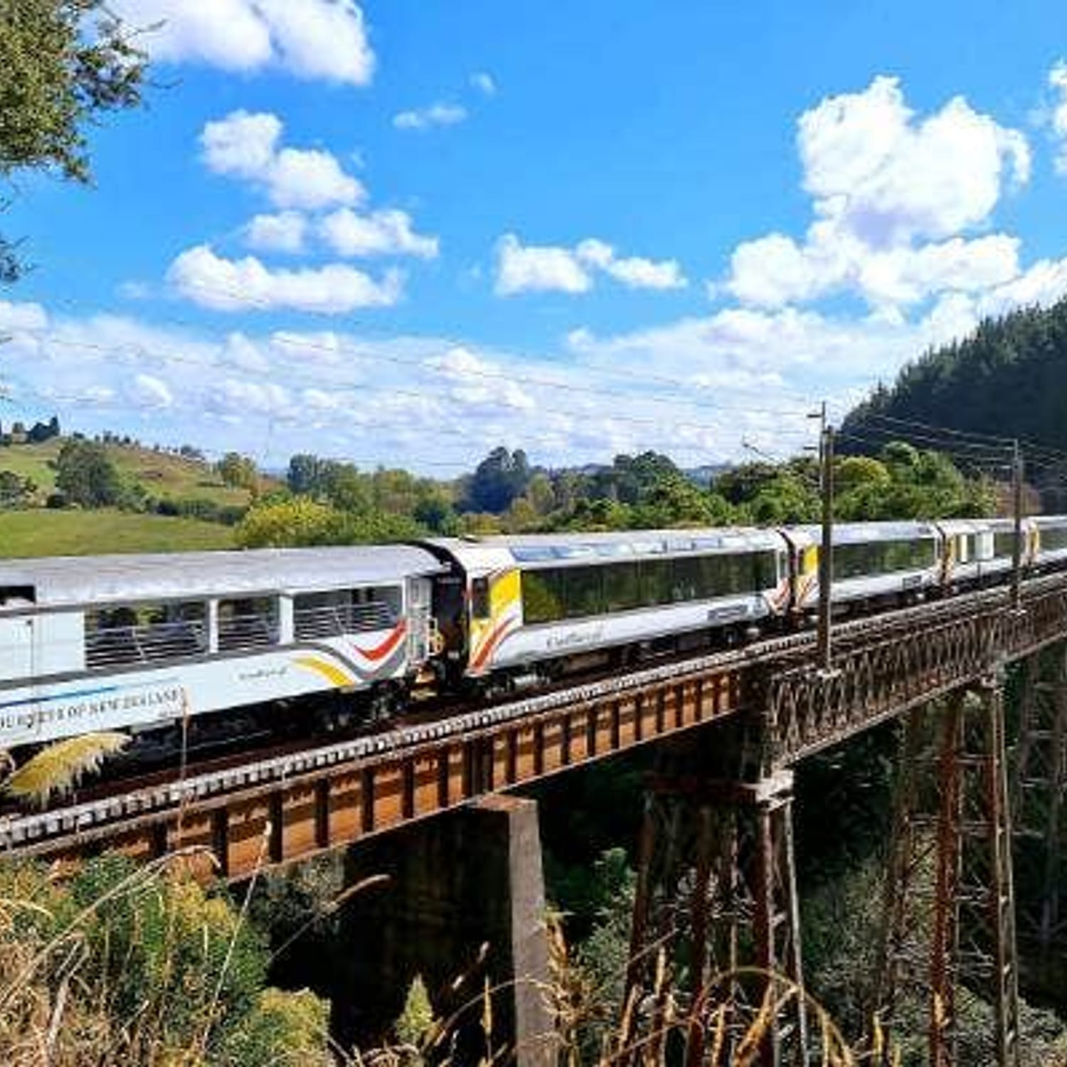 Northern Explorer From Auckland To Wellington