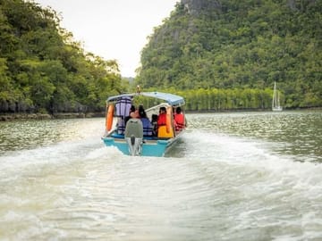 Langkawi Mangrove Night Safari with BBQ Dinner