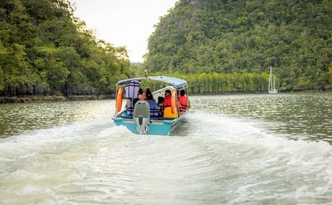 Langkawi Mangrove Night Safari with BBQ Dinner