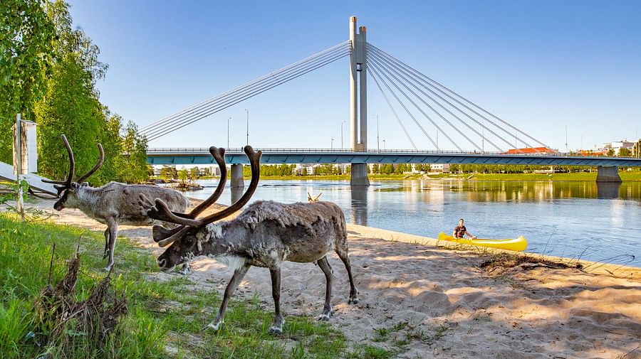 Cultural Canoe Trip around Rovaniemi