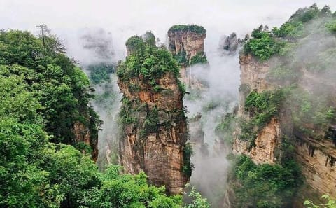 Zhangjiajie National Park Day Trip with Guided Tour