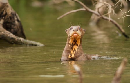Hacienda Concepcion 4 Days, Short Break (On Request)