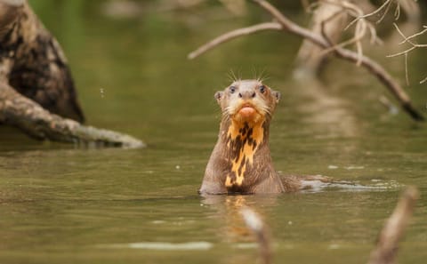 4-Day Nature Adventure at Hacienda Concepcion, Puerto Maldonado